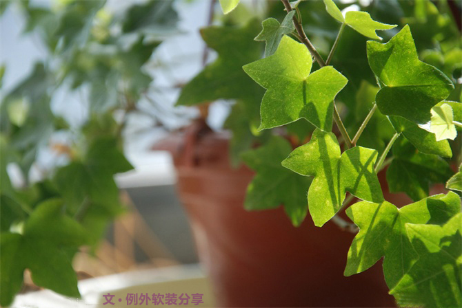新房子裝修甲醛從哪里來？-別墅設計,軟裝設計,室內(nèi)設計,豪宅設計,深圳例外軟裝設計公司